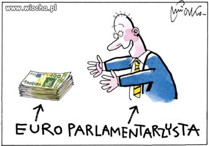 Polski europarlamentarzysta 
