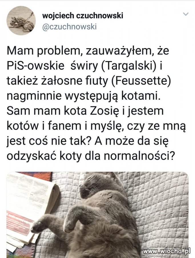 I to są dopiero prawdziwe dylematy egzystencjalne