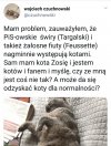 I to są dopiero prawdziwe dylematy egzystencjalne