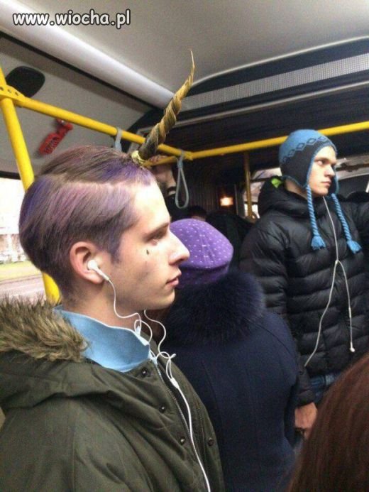 Kto powiedział, że nie ma jednorożców?