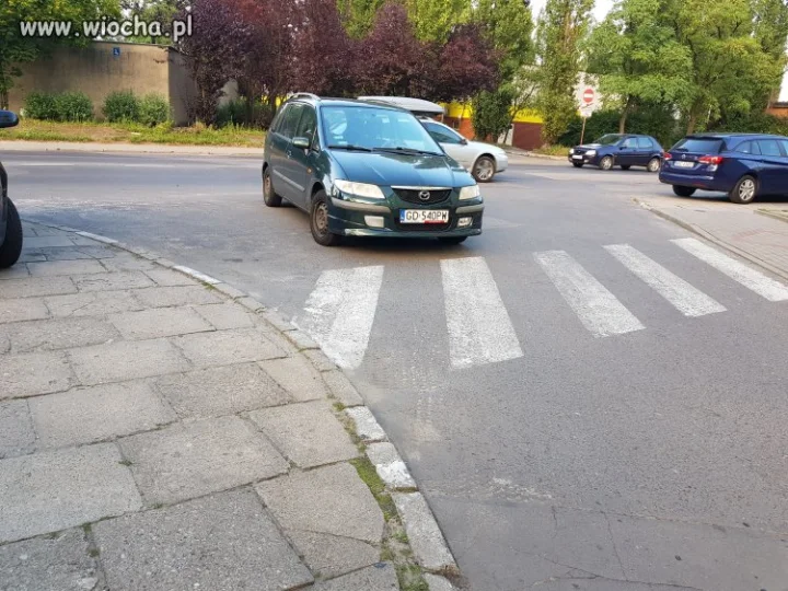Kolejny łoś zaparkował