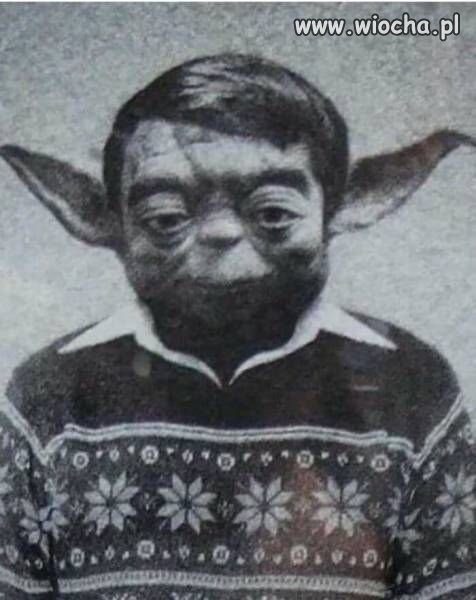 Gdyby Yoda mieszkał w Podlaskim.