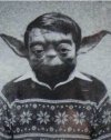 Gdyby Yoda mieszkał w Podlaskim.