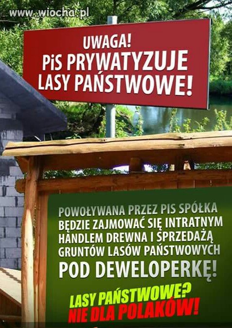 Za dużo mamy lasów?