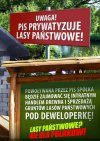 Za dużo mamy lasów?