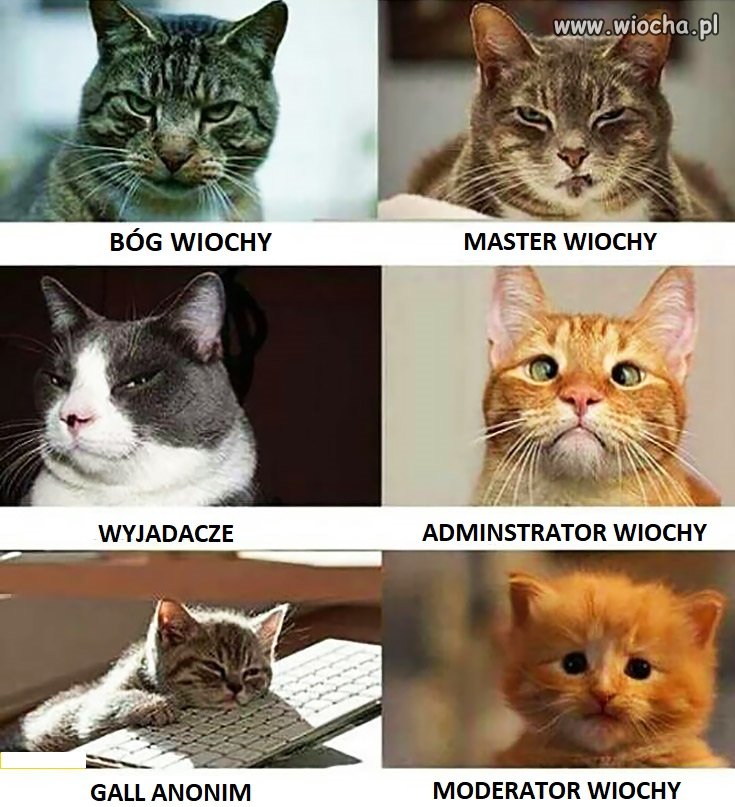 Wszędzie te podziały...