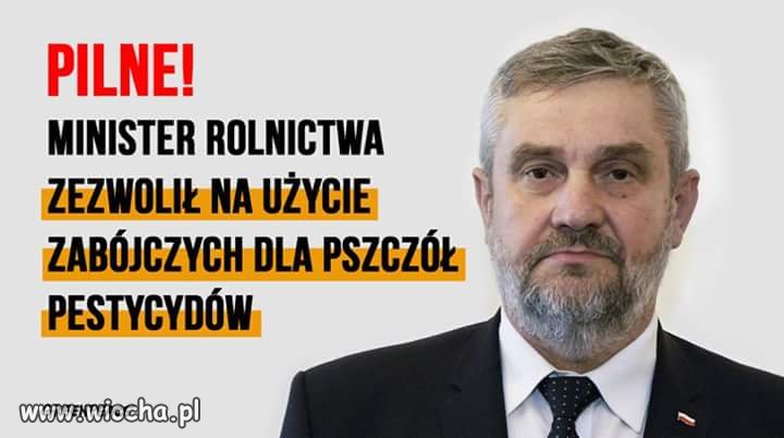 Dajcie Polakom władzę