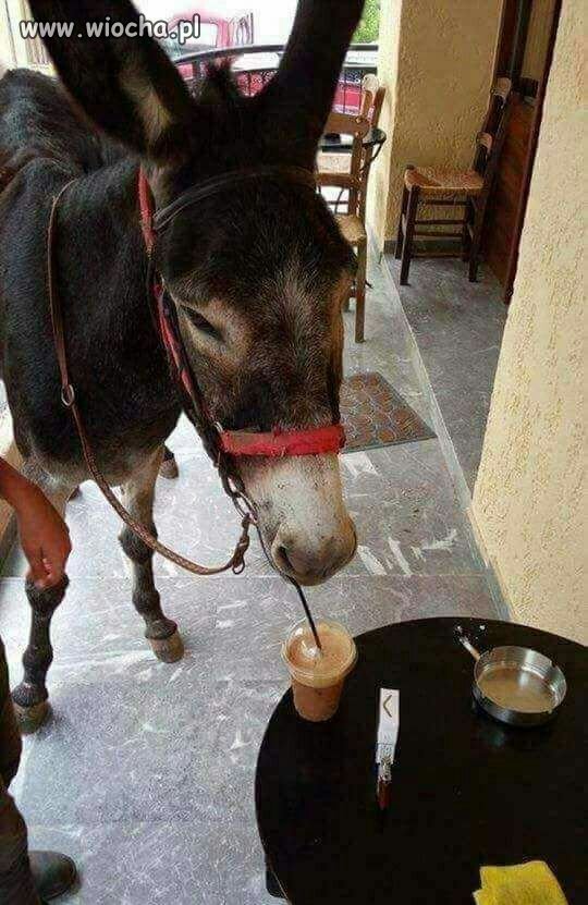 Ile cukru kochasz cappuccino?