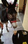 Ile cukru kochasz cappuccino?