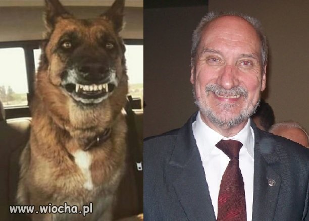 Pan i jego pieseł