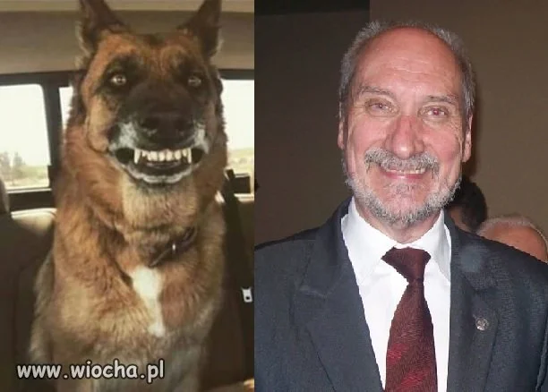 Pan i jego pieseł