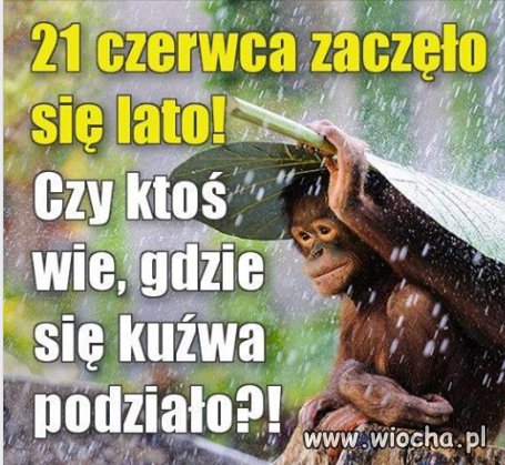 Niestety ale to wina pisu!