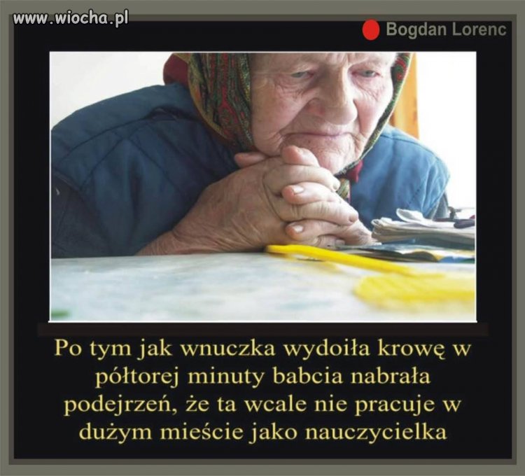 Wydoić krowę 