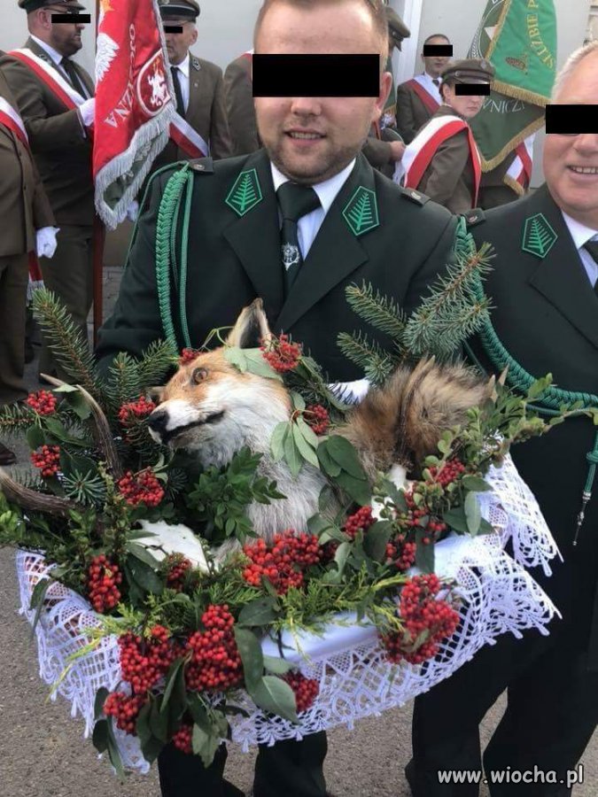 Księdzu...