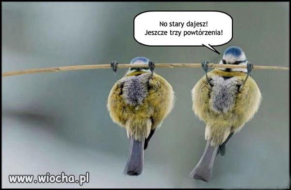 Dasz radę