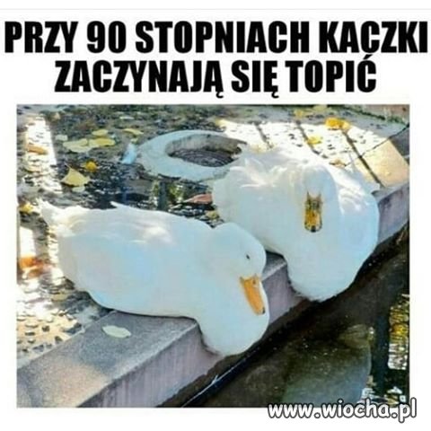 90 stopni