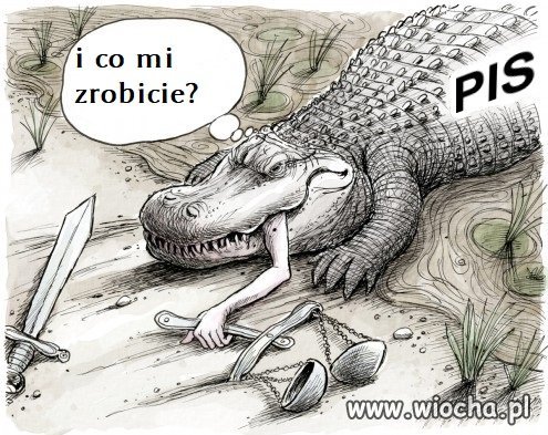 Tak myślą