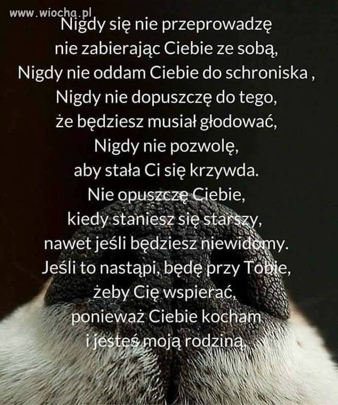 Tak dla zwierzolubów