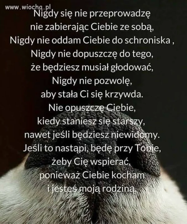 Tak dla zwierzolubów