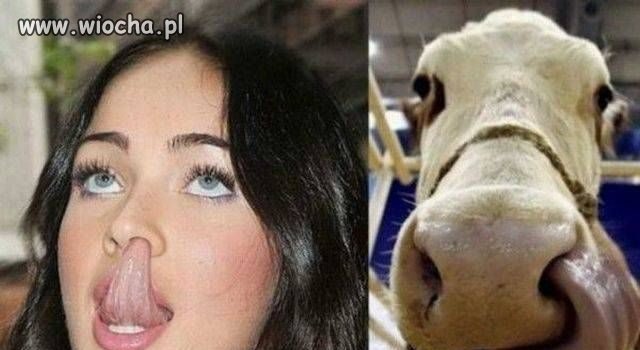 Selfie z językiem w nosie