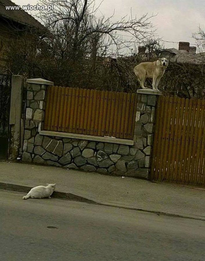 Często bywa i tak, że role się odwracają