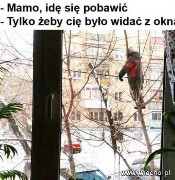 Grzeczne