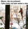 Grzeczne