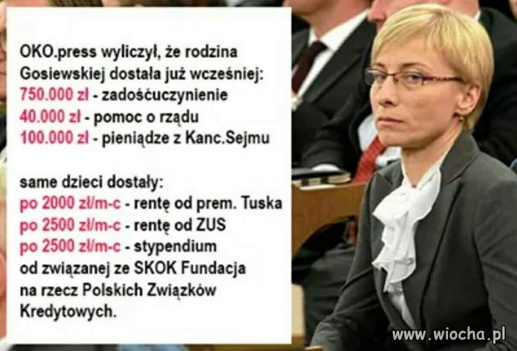 Gosiewska kosztowała nas majątek. 