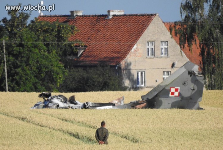 Przestarzałe ptaszki spadają