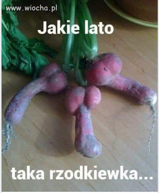 Lato