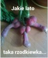 Lato