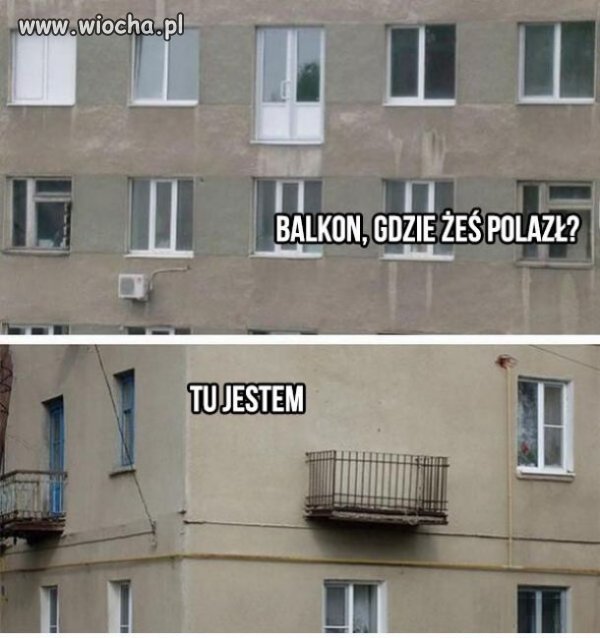 Wędrujący