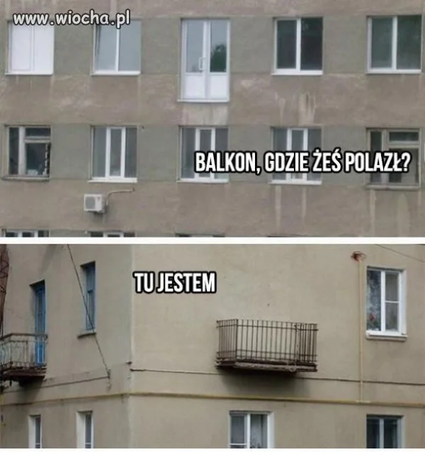 Wędrujący