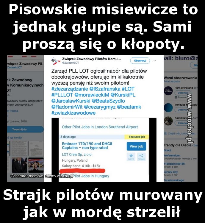 Pisowskie misiewicze to jednak głupie są. Sami