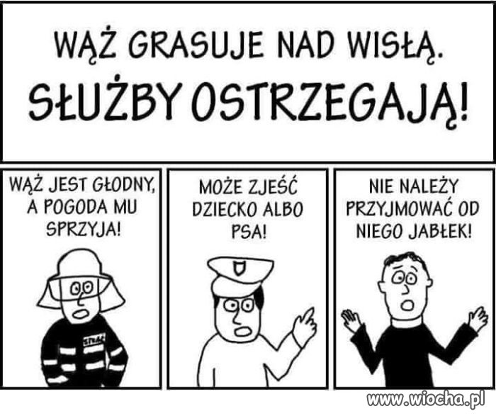 Nic dobrego nie wyjdzie ze spotkania z wężem