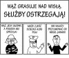 Nic dobrego nie wyjdzie ze spotkania z wężem