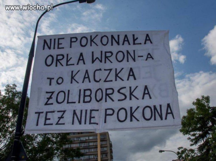 Nie pokonała orła wrona 