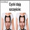 Coś w tym jest