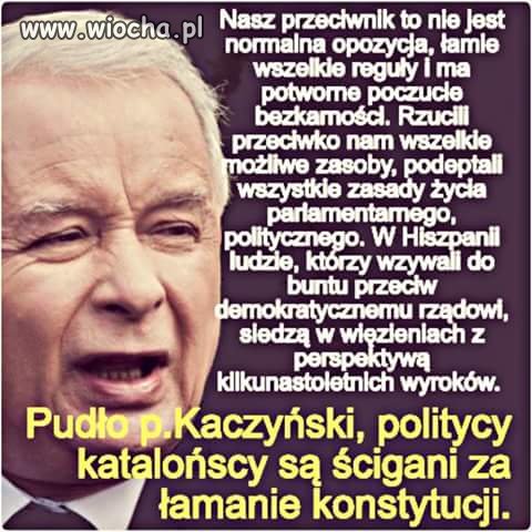 Kończ waść. Wstydu oszczędź.