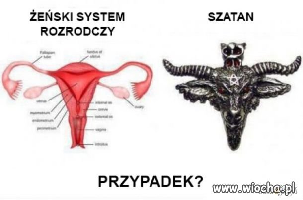 Przypadek?