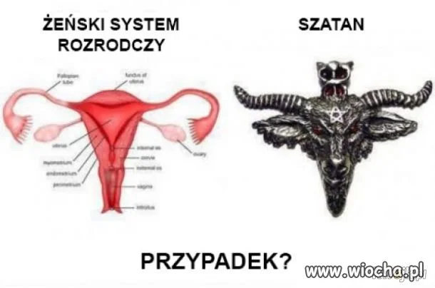 Przypadek?