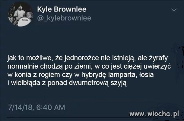 Ciekawe