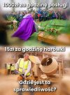 Bez komentarza