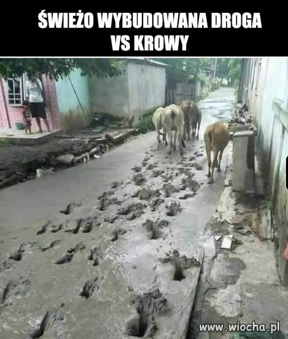 Coś poszło