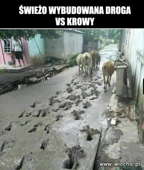 Coś poszło