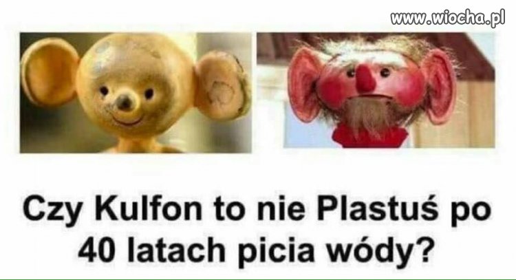 Pytanie dnia...