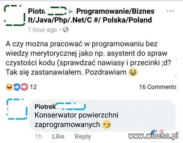 Programista