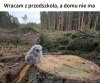 Smutne ale prawdziwe.. 
