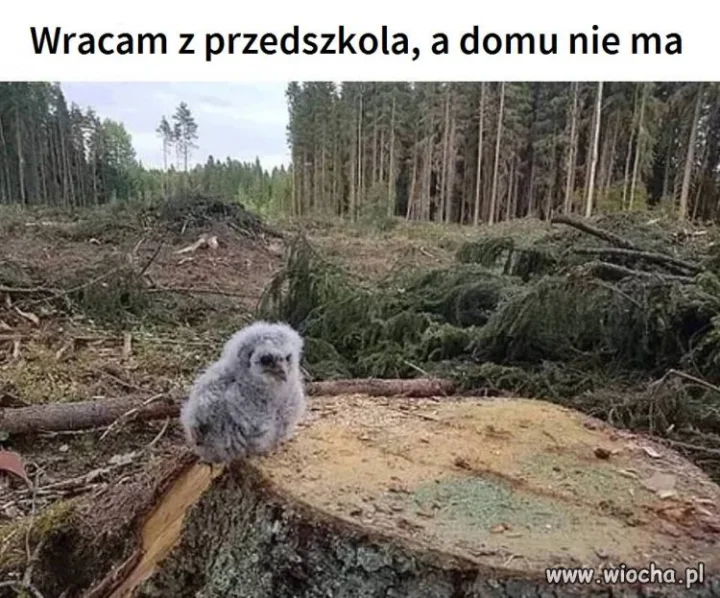 Smutne ale prawdziwe.. 