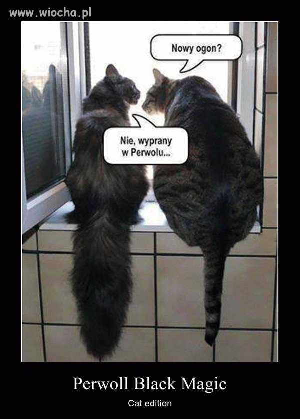 Perwoll